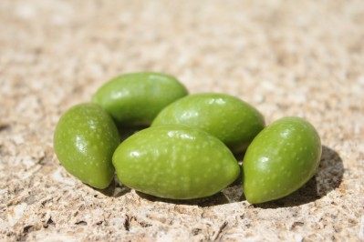 Plant&#x20;d&#x27;olivier&#x20;&quot;La&#x20;Lucques&quot;